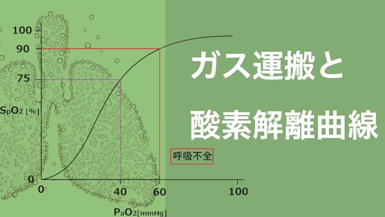 ガス運搬と酸素解離曲線について | CEじゃーなる