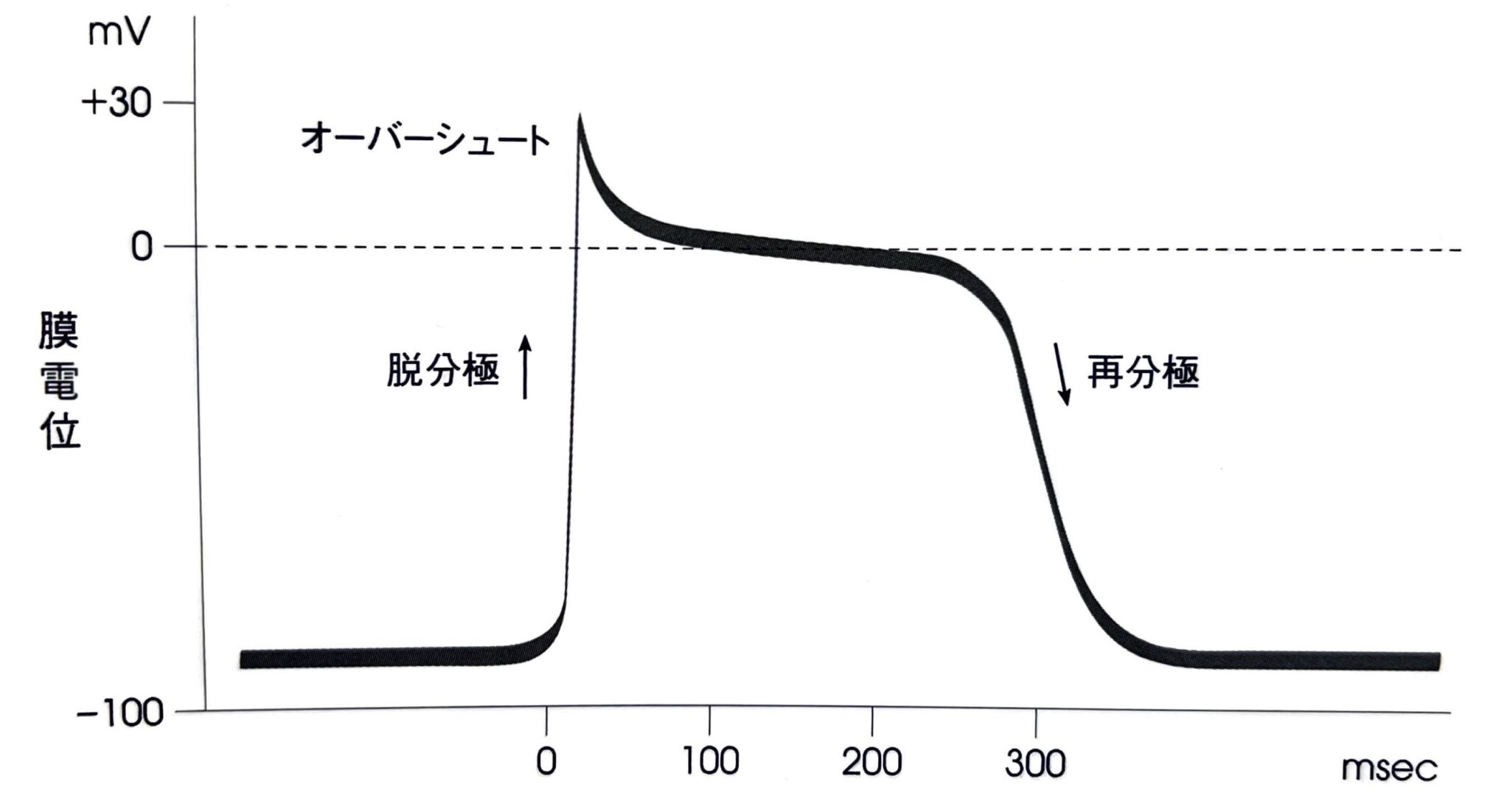 葉面電位について – 葉面電位 測定方法 | 植物の生体電位反応を指標とした環境モニタリングシステムの開発 – QZFSF