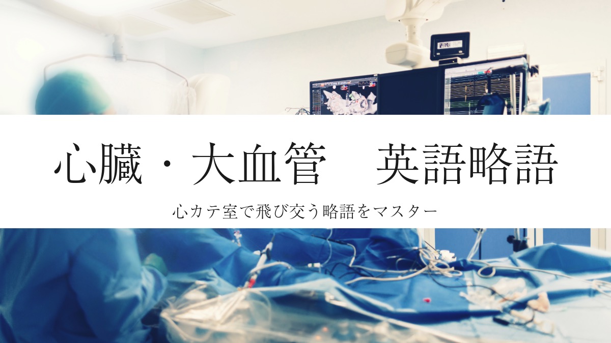 心カテ】英語/略用語集 — 心臓・血管編① 主要血管— | CEじゃーなる